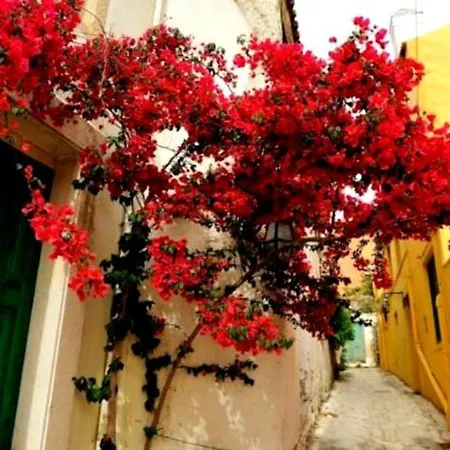 Apartment Orestis Archanes